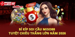 bi kip soi cau