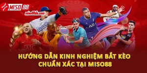 kinh nghiem bat keo