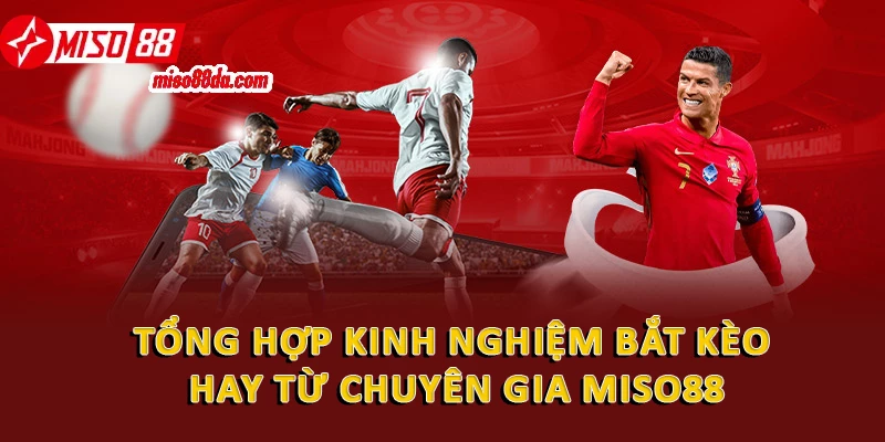 Hướng Dẫn Kinh Nghiệm Bắt Kèo Chuẩn Xác Tại Miso88 2 Tổng hợp kinh nghiệm bắt kèo hay từ chuyên gia Miso88