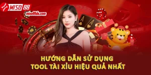 tool tai xiu